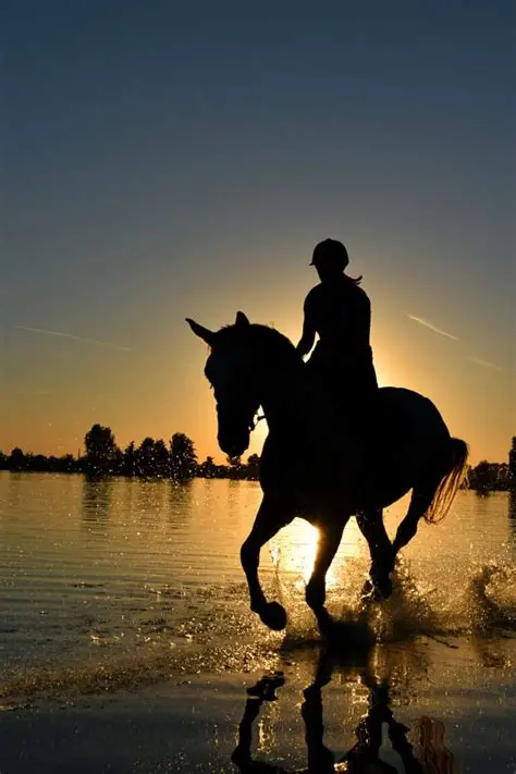 Balade à Cheval
